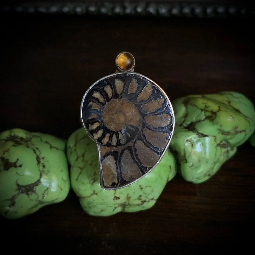 Vintage Ammonite Amber Echo of the Dreamer Sterling Silver Ring